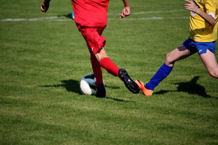 杏彩娱乐平台-世界围棋赛多国选手展现东亚围棋影响力，东南亚围棋  第3张